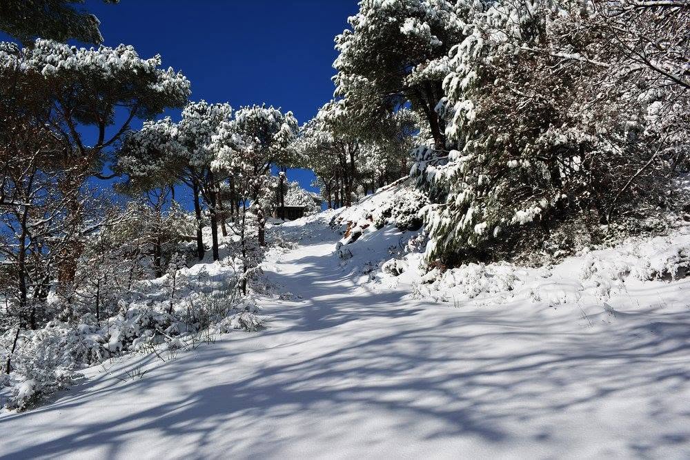Snow in Baskinta